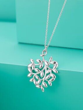 Tiffany & Co. necklace